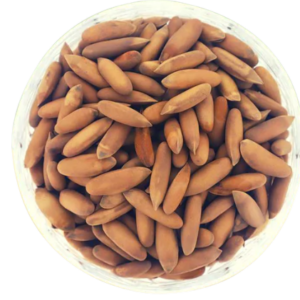 Chilgoza Pine Nuts dry fruits